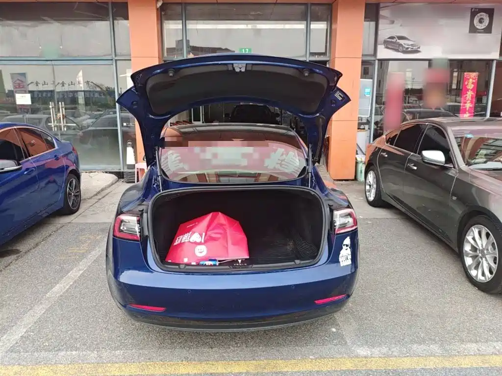 TESLA MODEL 3