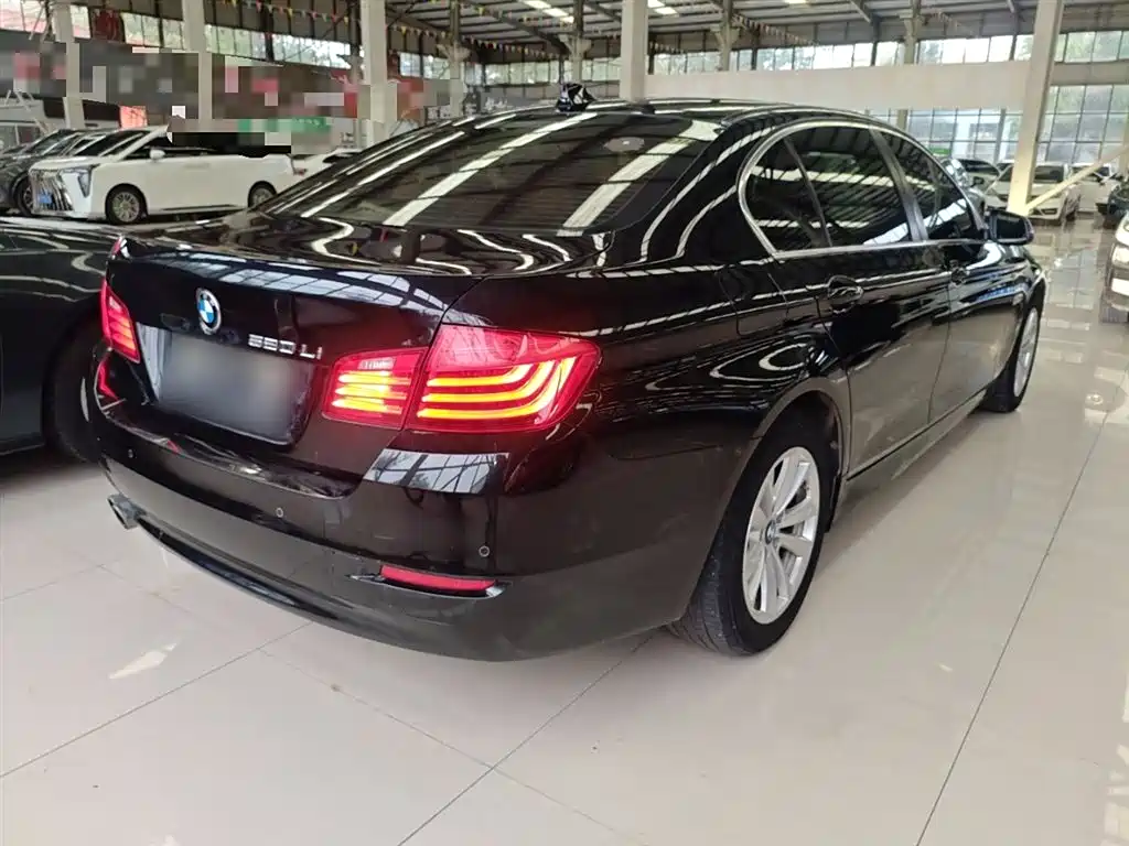 BMW 5 Series 2014 520Li Elegance фото 6