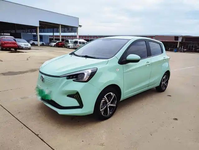  Changan Changan Benben E-Star 2022 Serenity Edition Colorful LFP