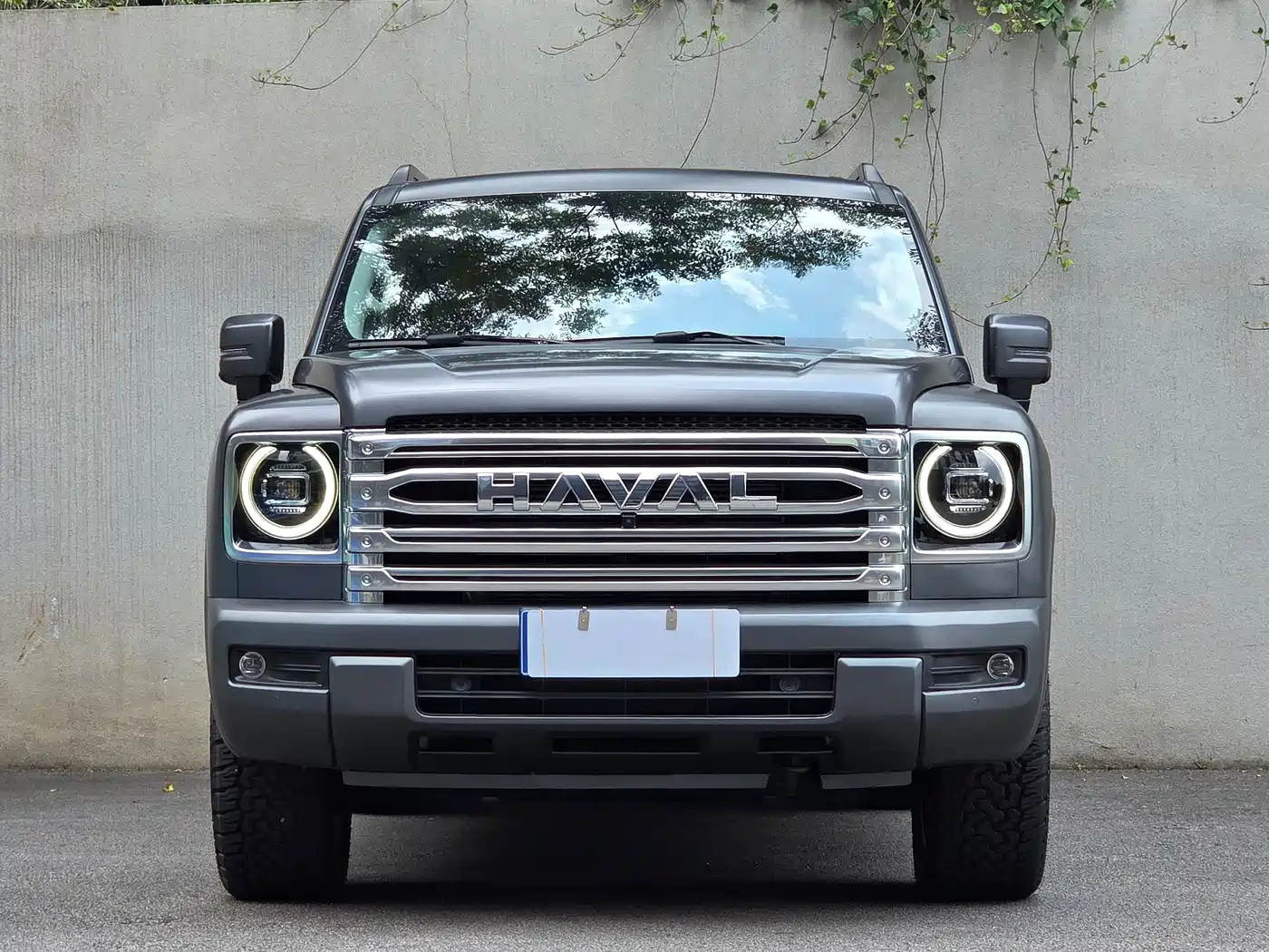 Haval H9 2024 2024 2.0T Gasoline AWD Extreme Edition