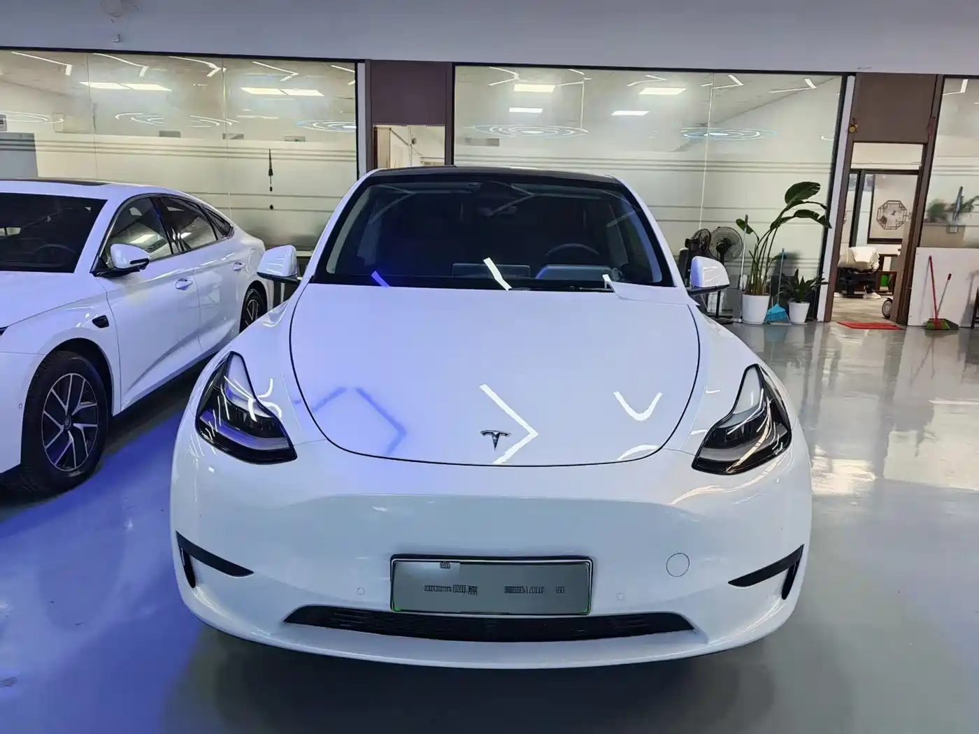 TESLA MODEL Y