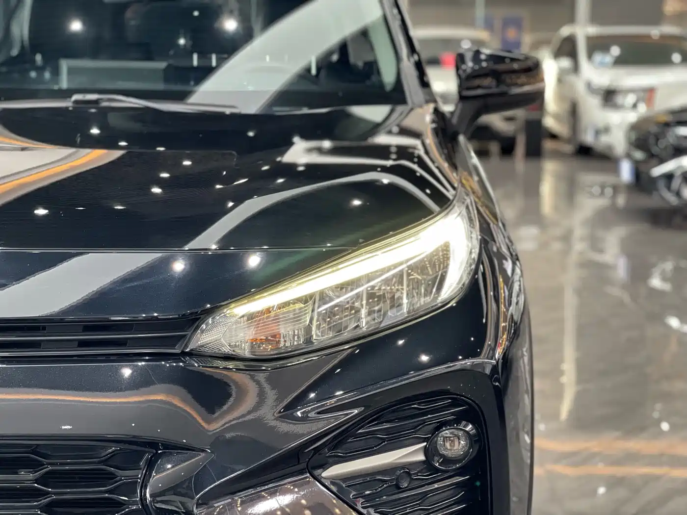 Toyota Wildlander 2020 2.0L CVT 2WD Luxury Edition фото 11