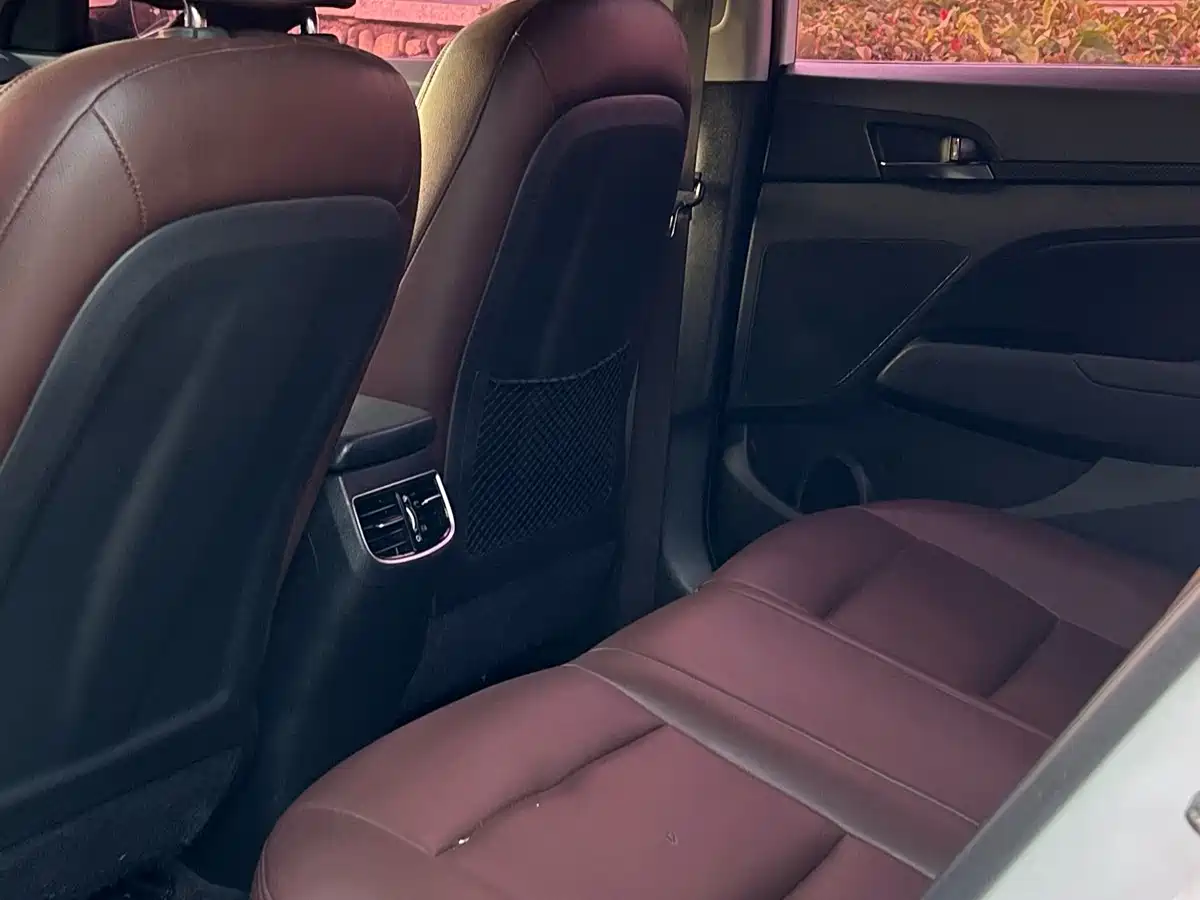 Hyundai Elantra 2019 1.4T Dual-clutch XuanDong·Vitality Type фото 15