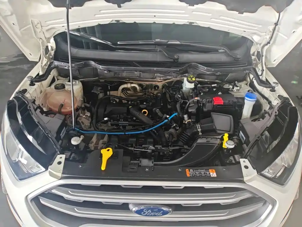 Ford EcoSport 2018 2018 1.5L Automatic Platinum Wing
