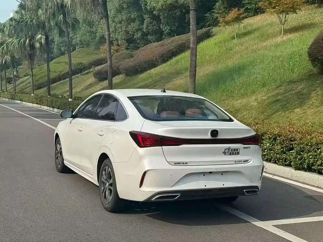 Фото 4 - Changan Eado