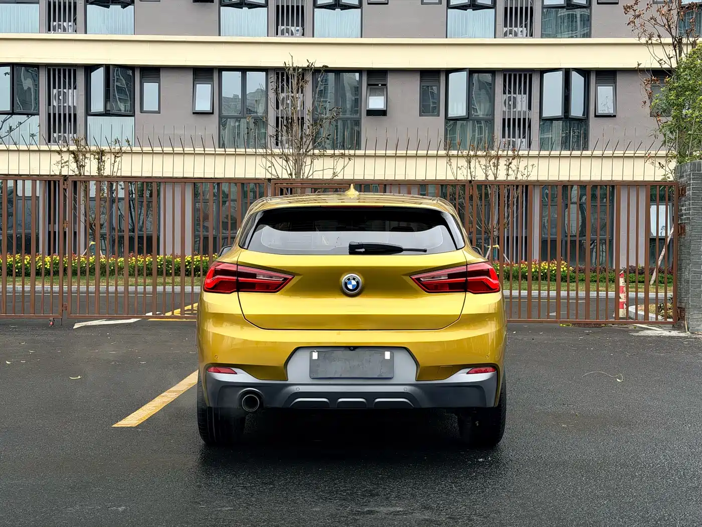 BMW X2 (Import) 2019 sDrive20i M Off-Road Package China VI фото 27