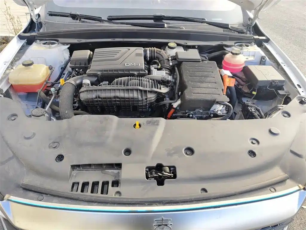 BYD Qin PLUS 2021 DM-i 55KM Flagship фото 11