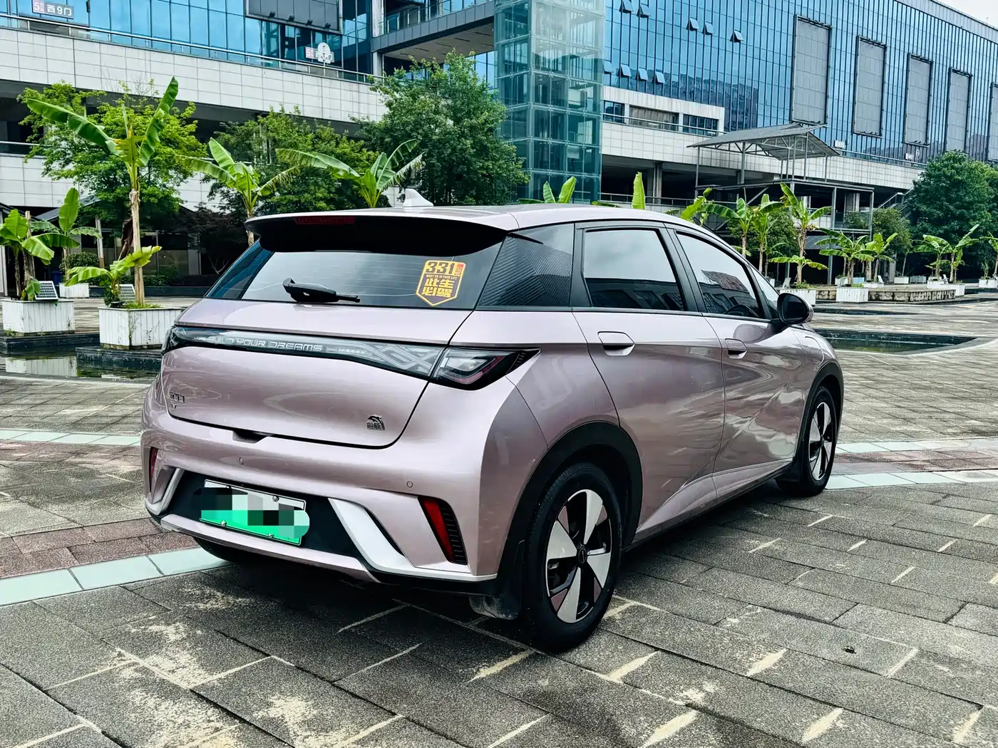 BYD Dolphin 2023 420km Freedom Edition фото 4