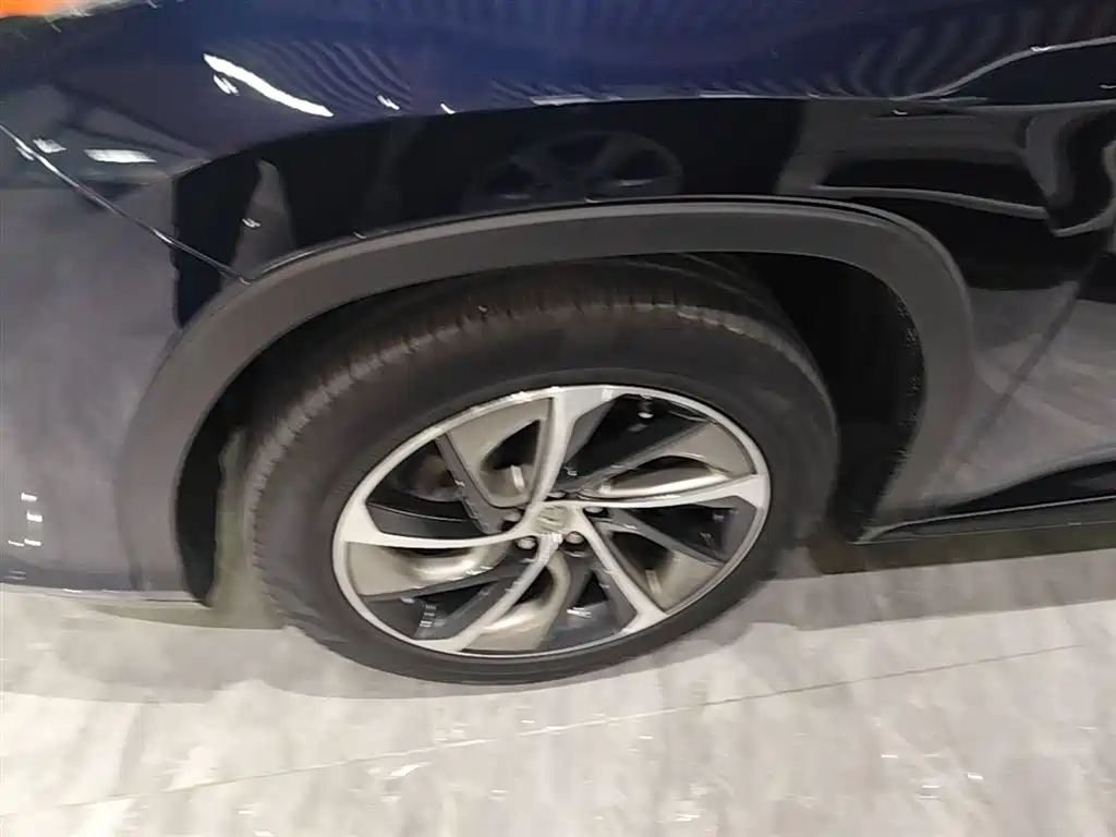 Lexus RX 2016 300 4WD Elegance Edition (China V) фото 23