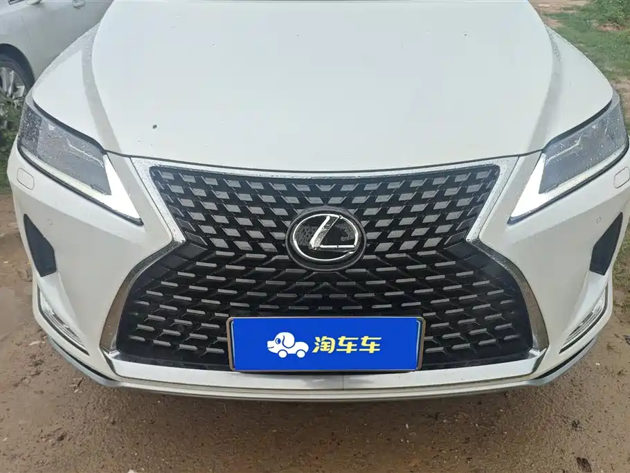 Lexus RX 2020 Facelift 300 2WD Elite Edition фото 2