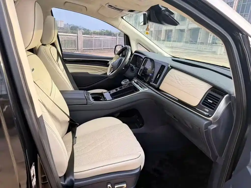 GAC Trumpchi Trumpchi M8 2021 Master Series 390T 4-Seat Premium Edition фото 22