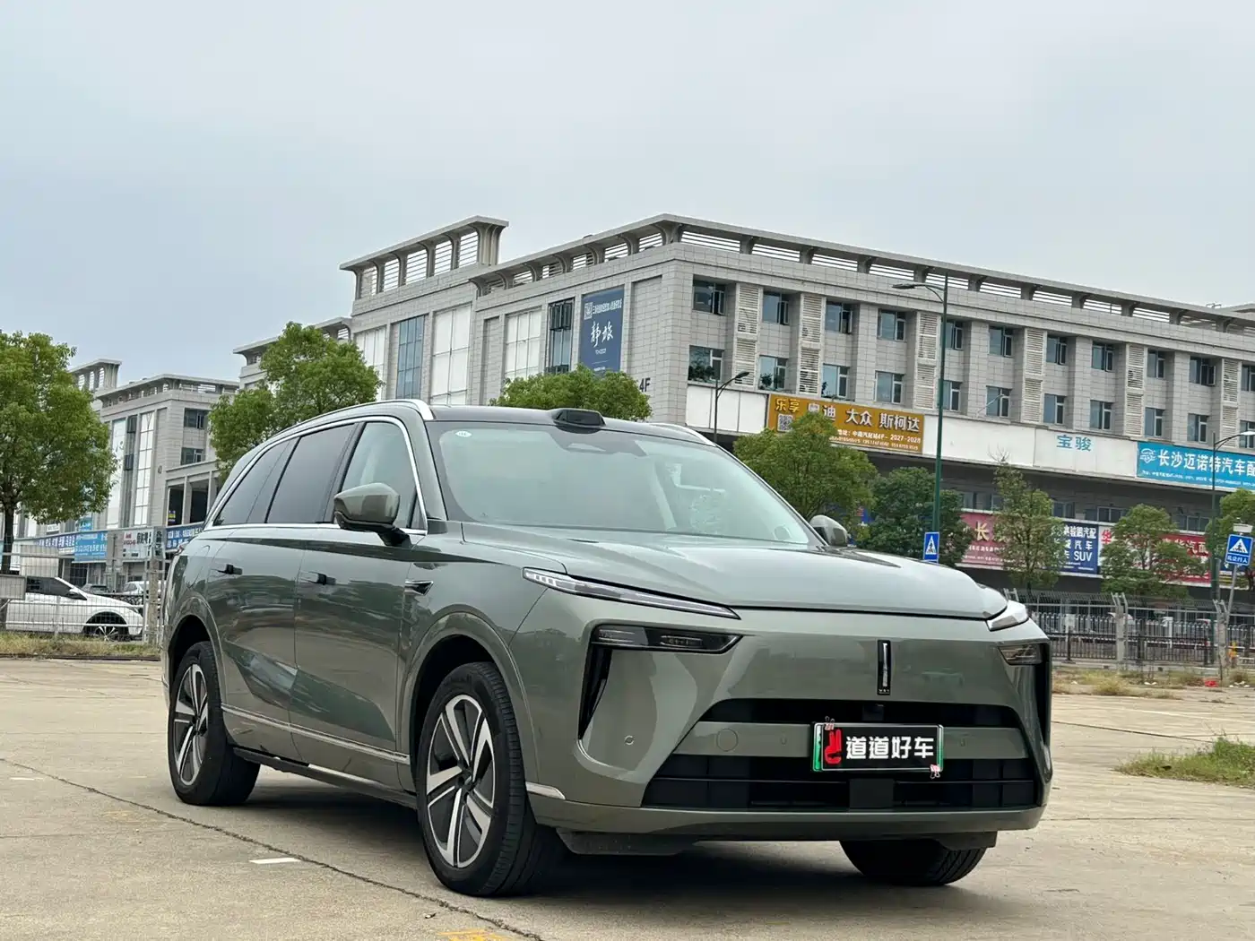 WEI PAI WEI BRAND BLUE MOUNTAIN