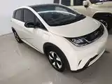 Фото 4 - BYD Dolphin