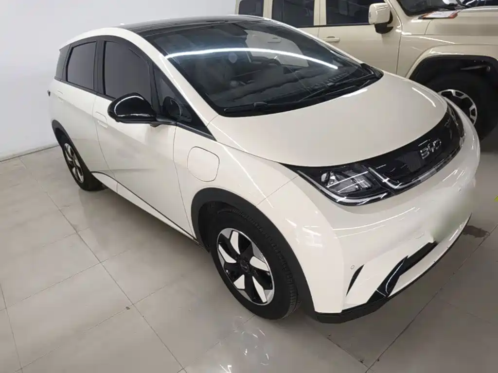 Фото 4 - BYD Dolphin