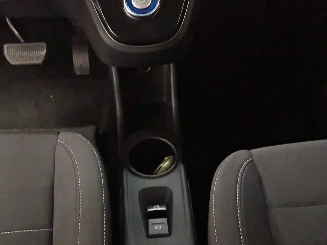 Ora White Cat 2021 2022 Upgraded 305km Luxury Edition LFP