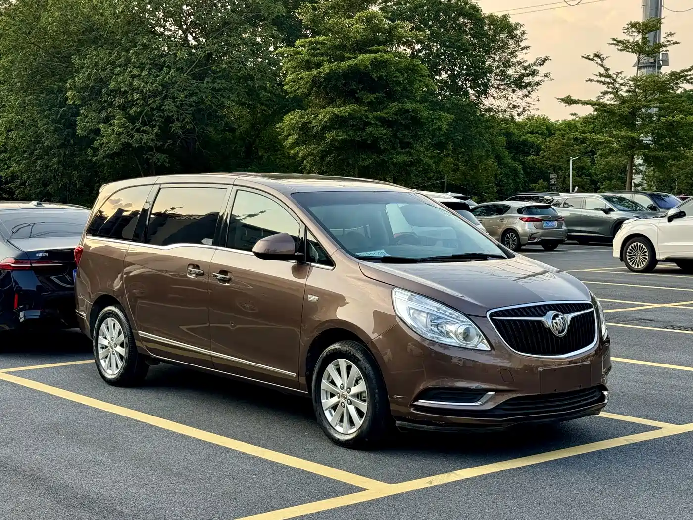 Фото 4 - Buick GL8