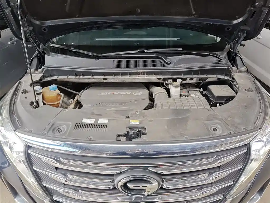 GAC Trumpchi Trumpchi M8 2020 Pilot 390T Premium Edition фото 20