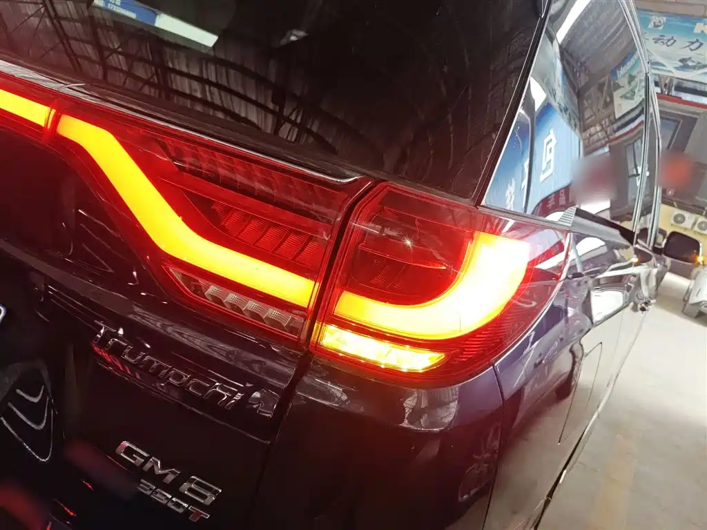 GAC Trumpchi Trumpchi M8 2020 Pilot 390T Premium Edition фото 8