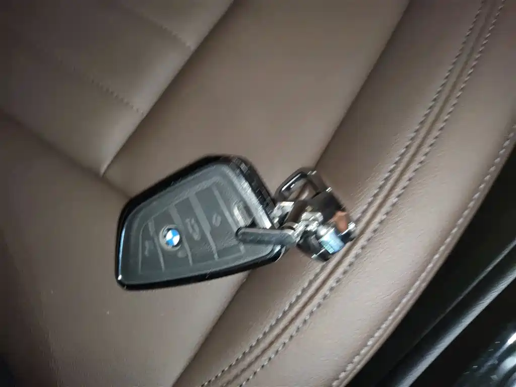BMW X3 2018 xDrive25i Luxury Package China VI фото 9