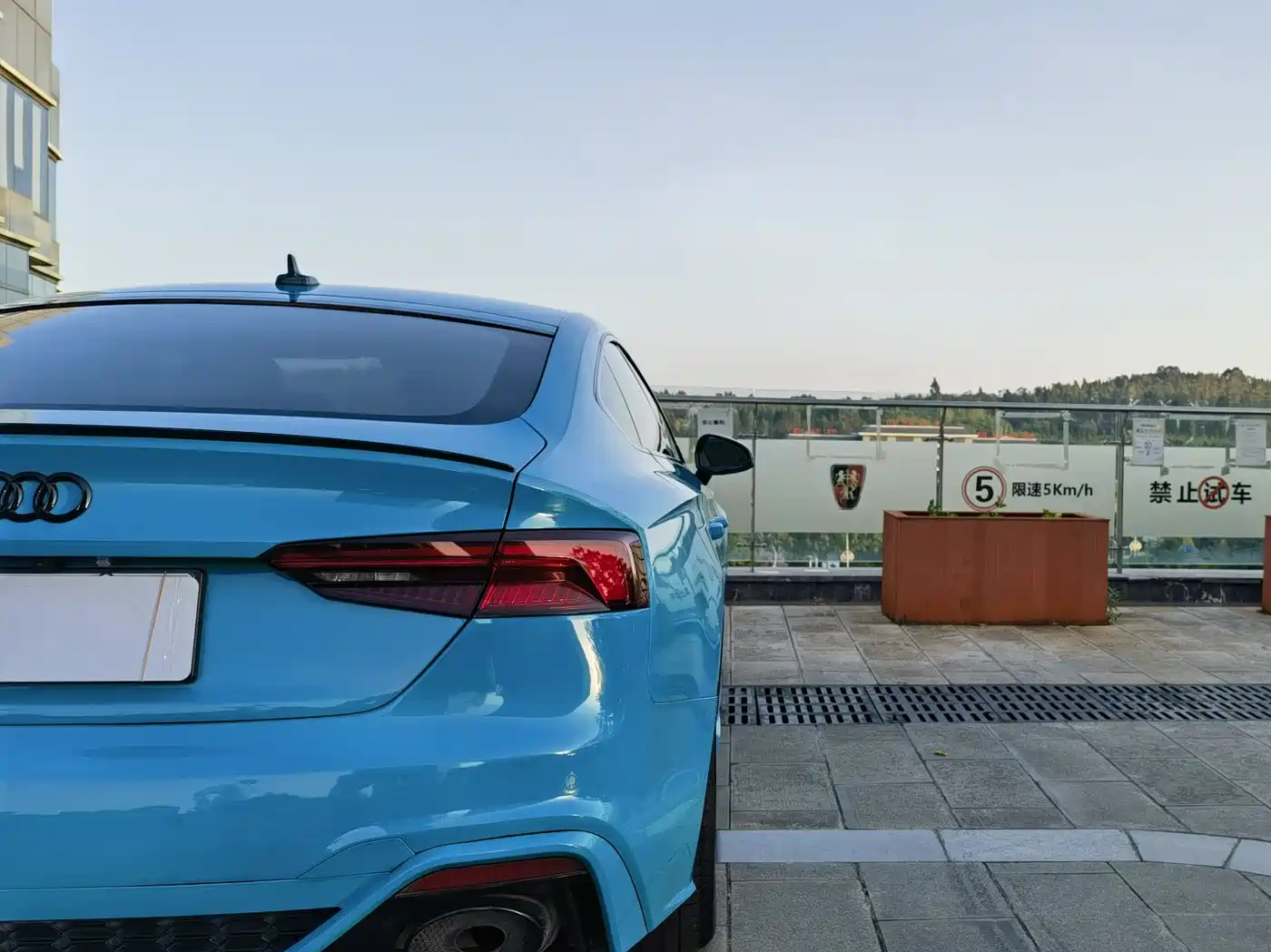Audi A5 (Import) 2017 Sportback 40 TFSI Fashion фото 3