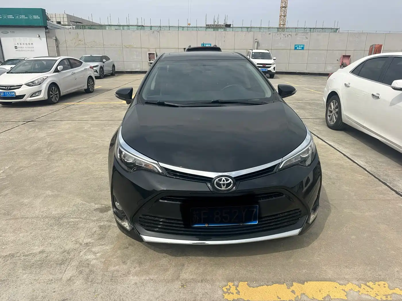 TOYOTA LEI LING