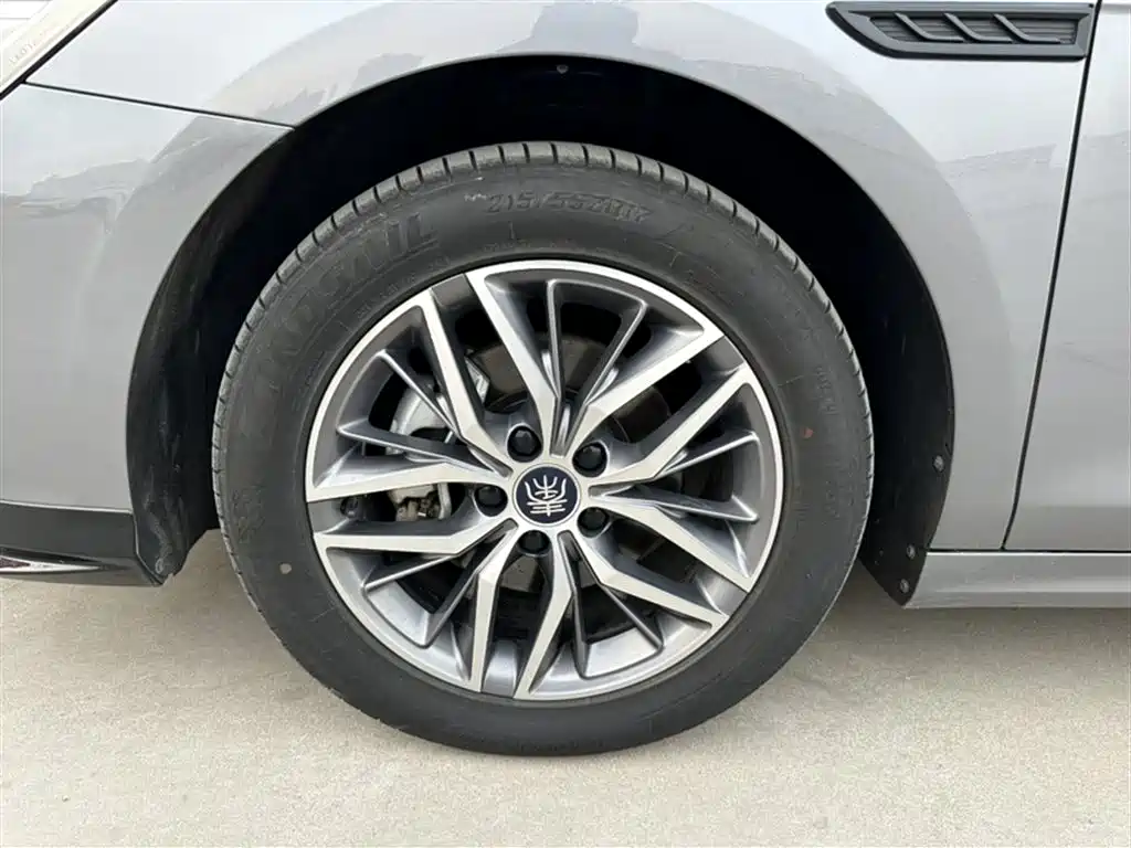 BYD Qin PLUS 2023 Champion Edition DM-i 120KM Excellence фото 22