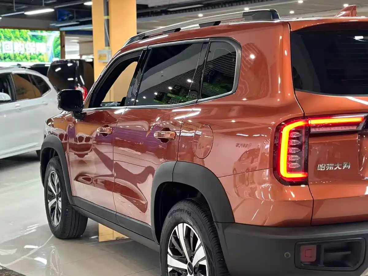 Haval Big Dog 2021 1.5T DCT 2WD Labrador Edition фото 19