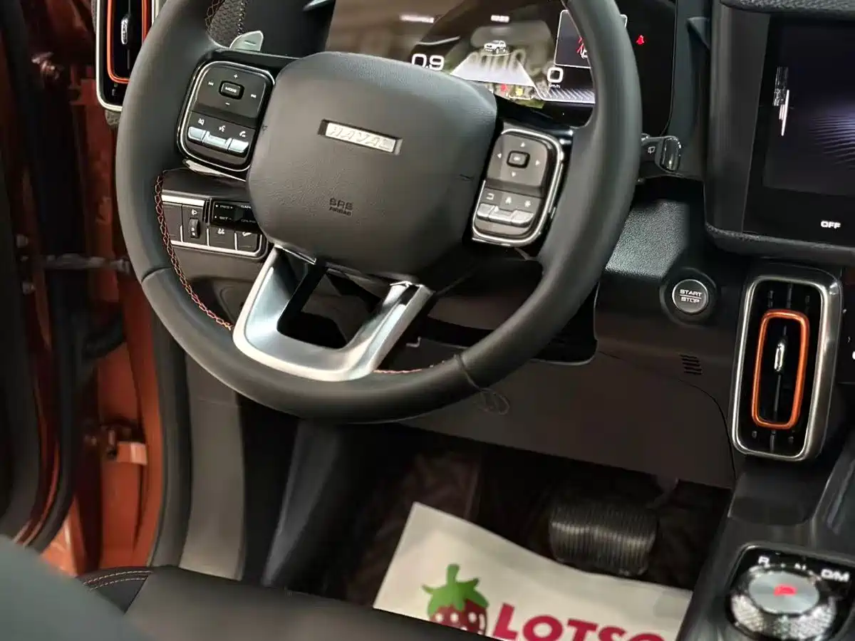 Haval Big Dog 2021 1.5T DCT 2WD Labrador Edition фото 11
