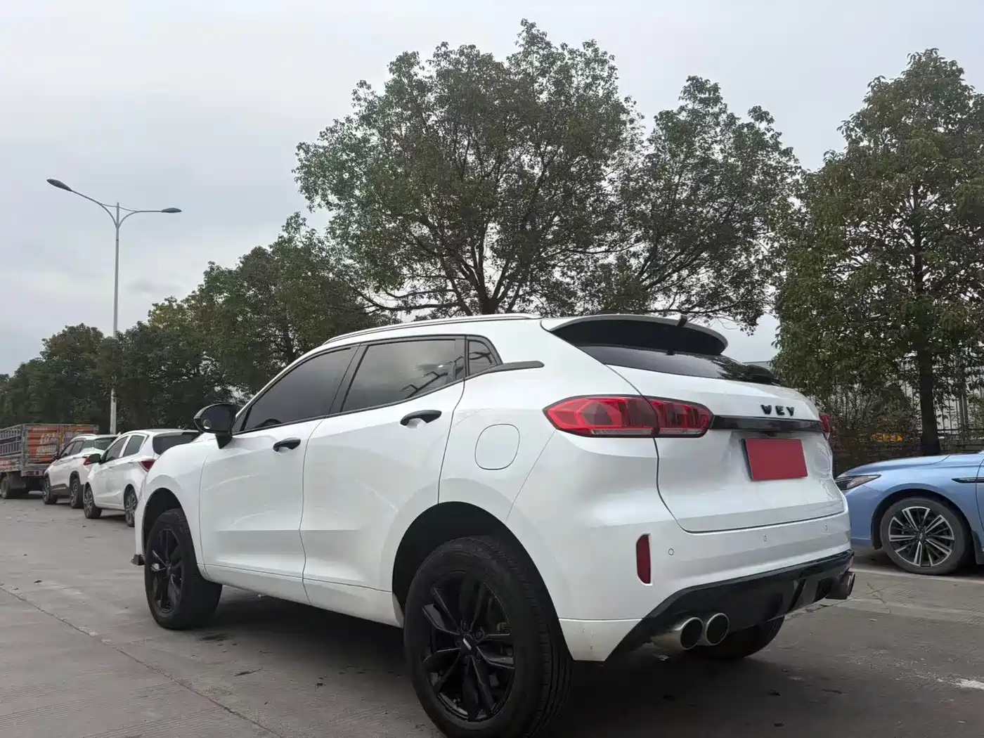 WEI PAI WEI BRAND VV5