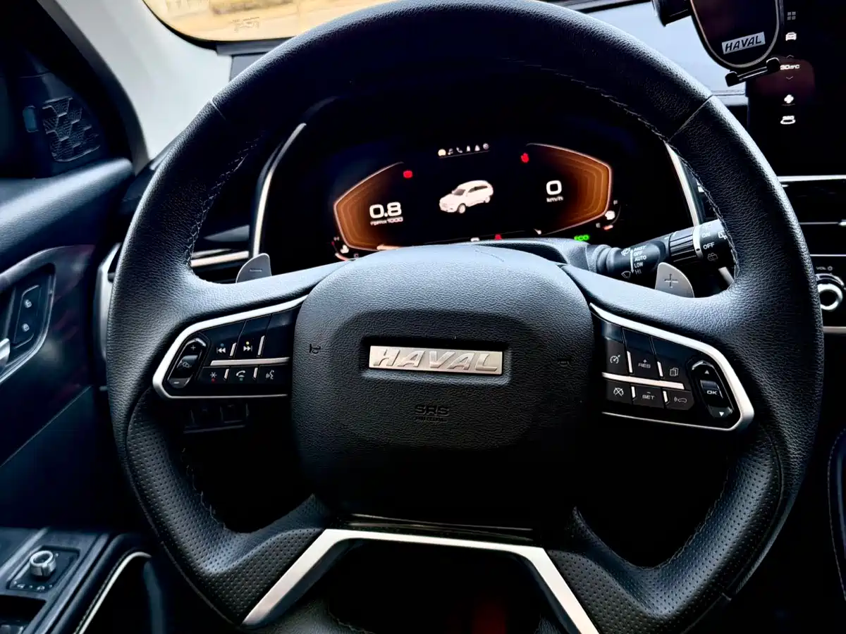 Haval H6 2023 National Trend Edition 1.5T Automatic Champion фото 23