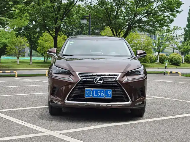 Lexus NX 2018 Model 200 FWD Fengxing Edition China V — фото 2