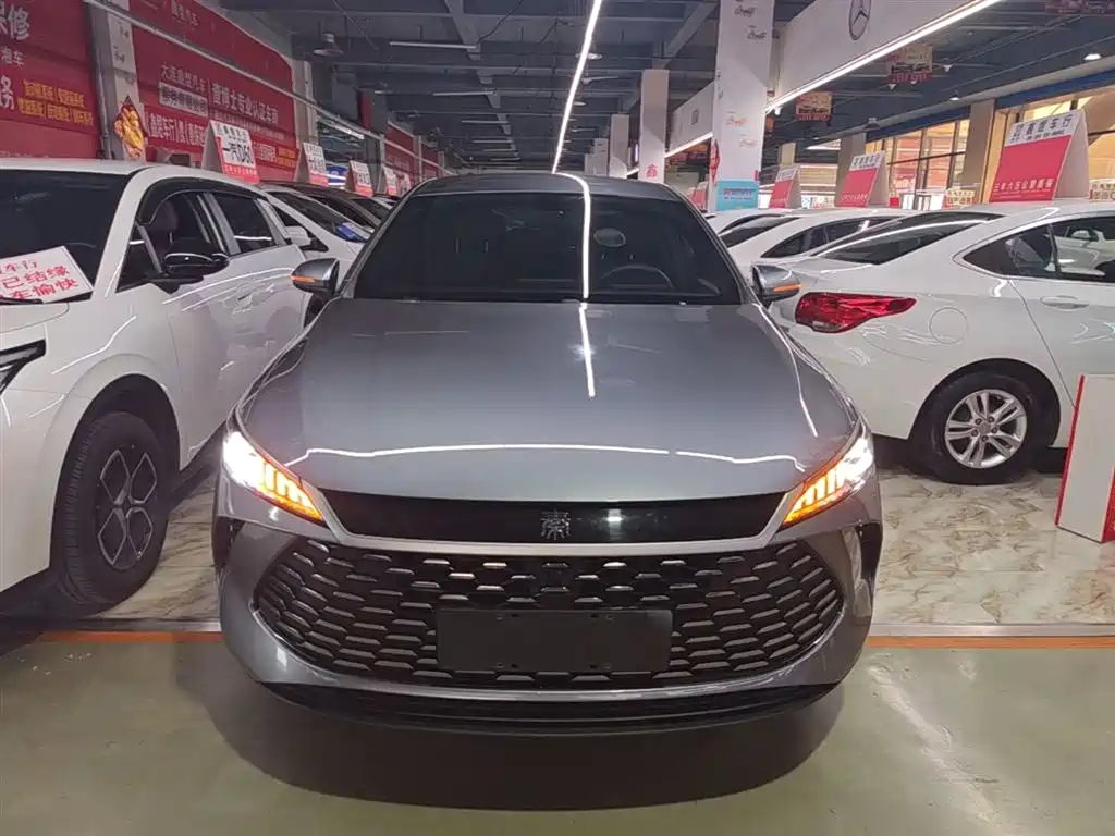 BYD Qin PLUS 2025 DM-i Smart Drive 55KM Leader фото 3