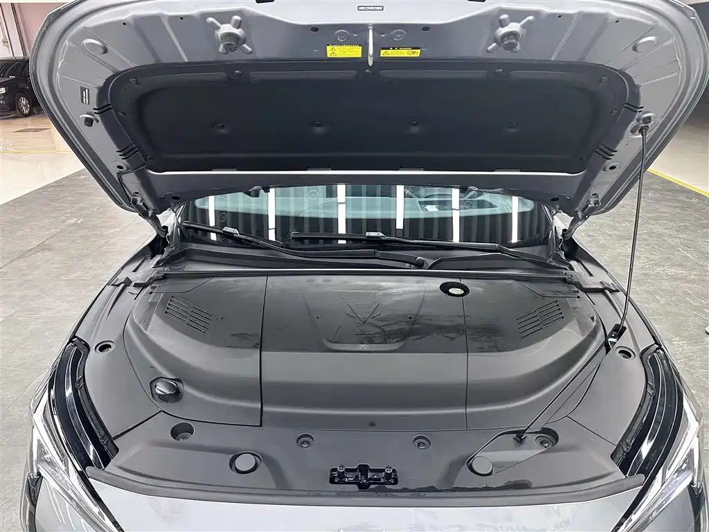 ARCFOX EXTREME FOX POLAR FOX ALPHA S5