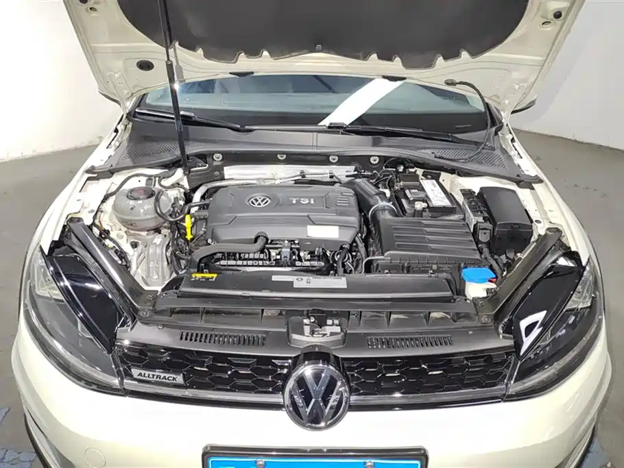 Volkswagen Golf (Import) 2019 1.8TSI Wagon фото 10