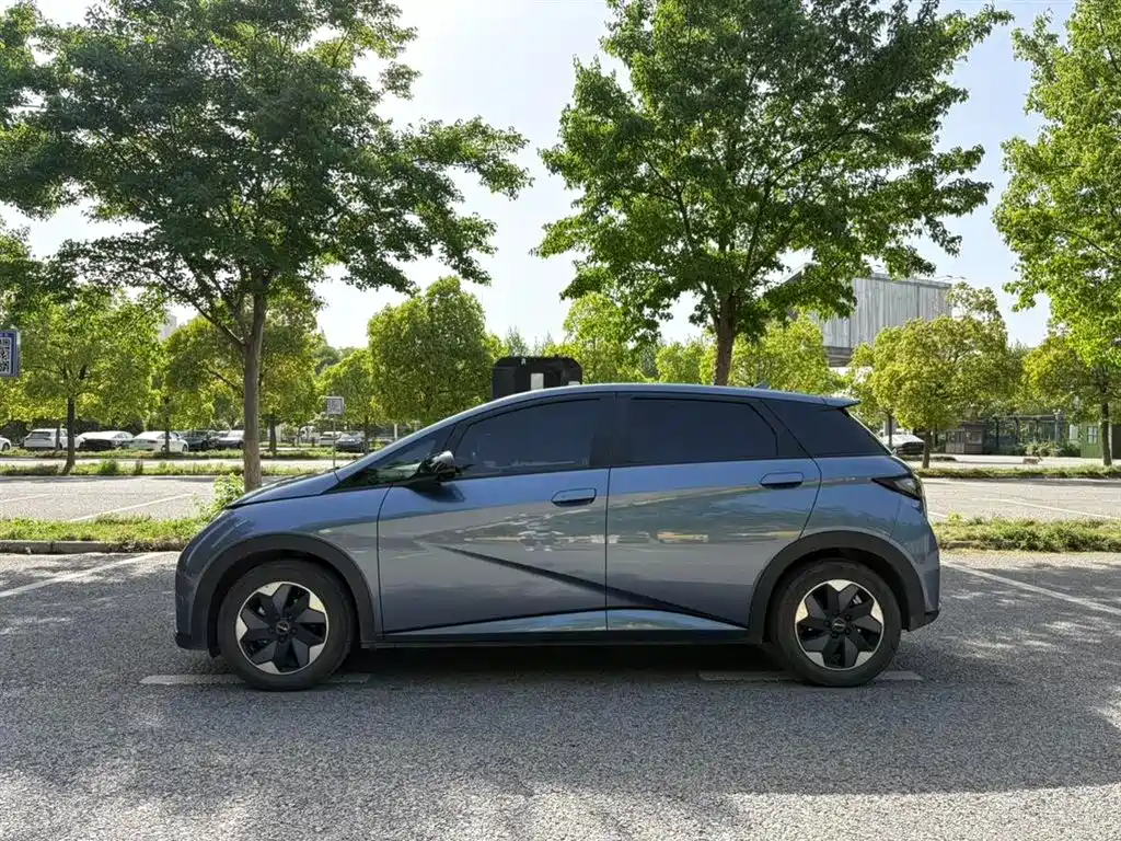 BYD Dolphin 2024 Glory Edition 420km Fashion Edition фото 6