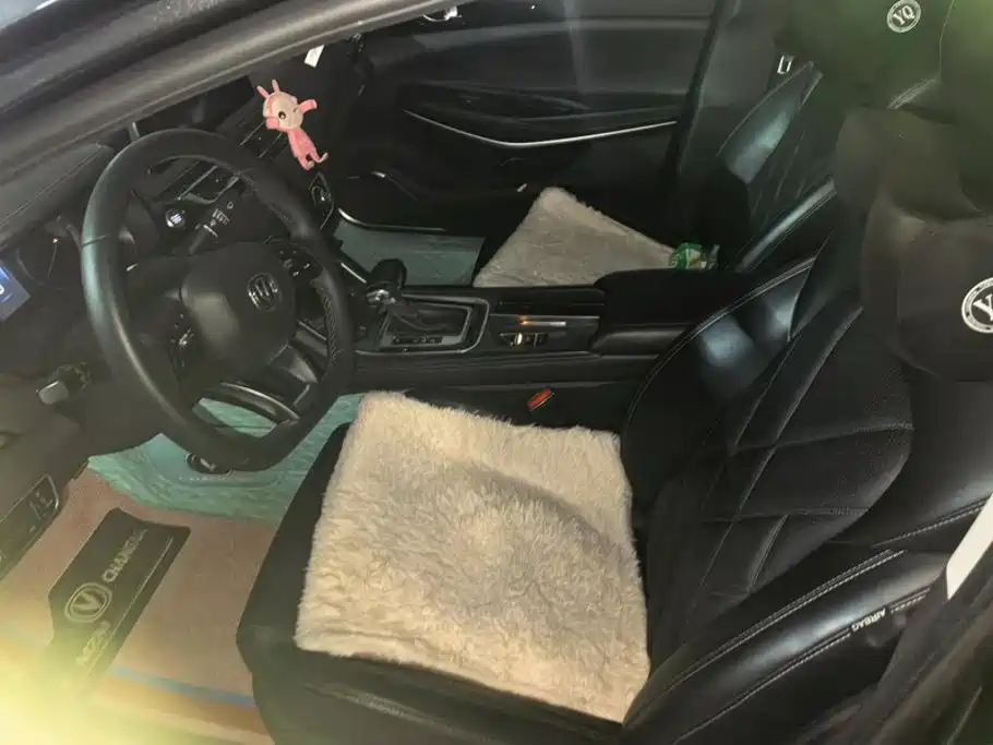 Changan Ruicheng CC 2021 2022 Blue Whale Edition 1.5T DCT Luxury