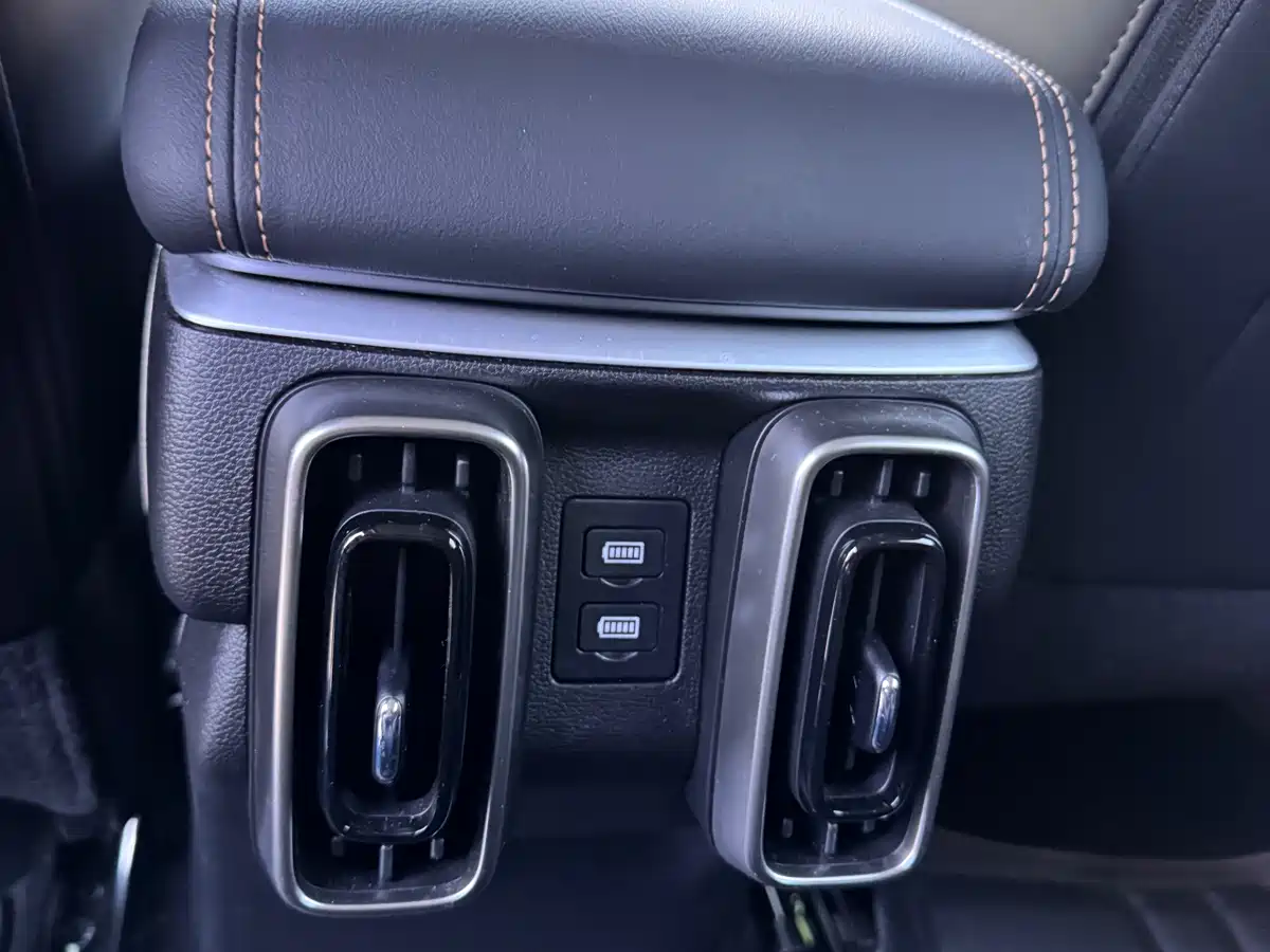 Haval Big Dog 2024 2.0T DCT Chinese Rural Dog Edition фото 15