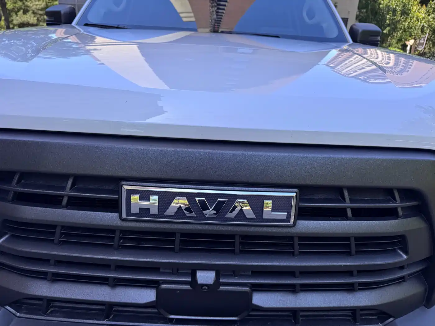 Haval Big Dog 2024 2.0T DCT Chinese Rural Dog Edition фото 27