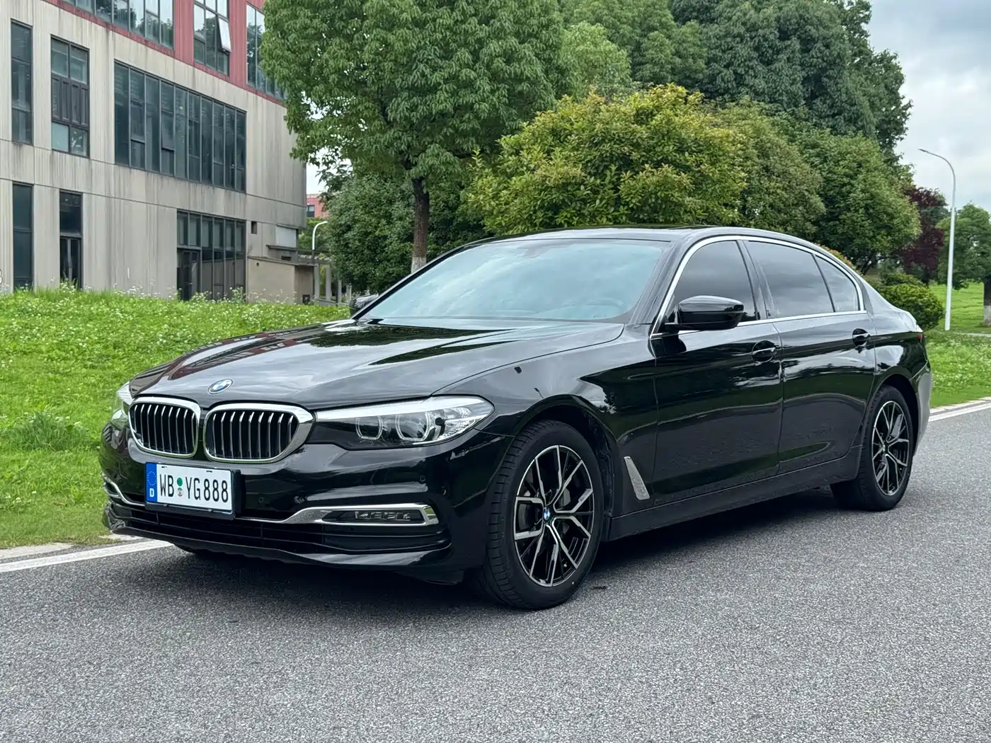 BMW 5 Series 2019 530Li Leading Luxury Package