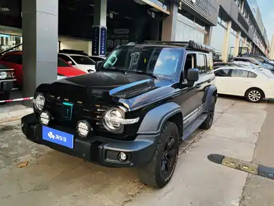 Tank 300