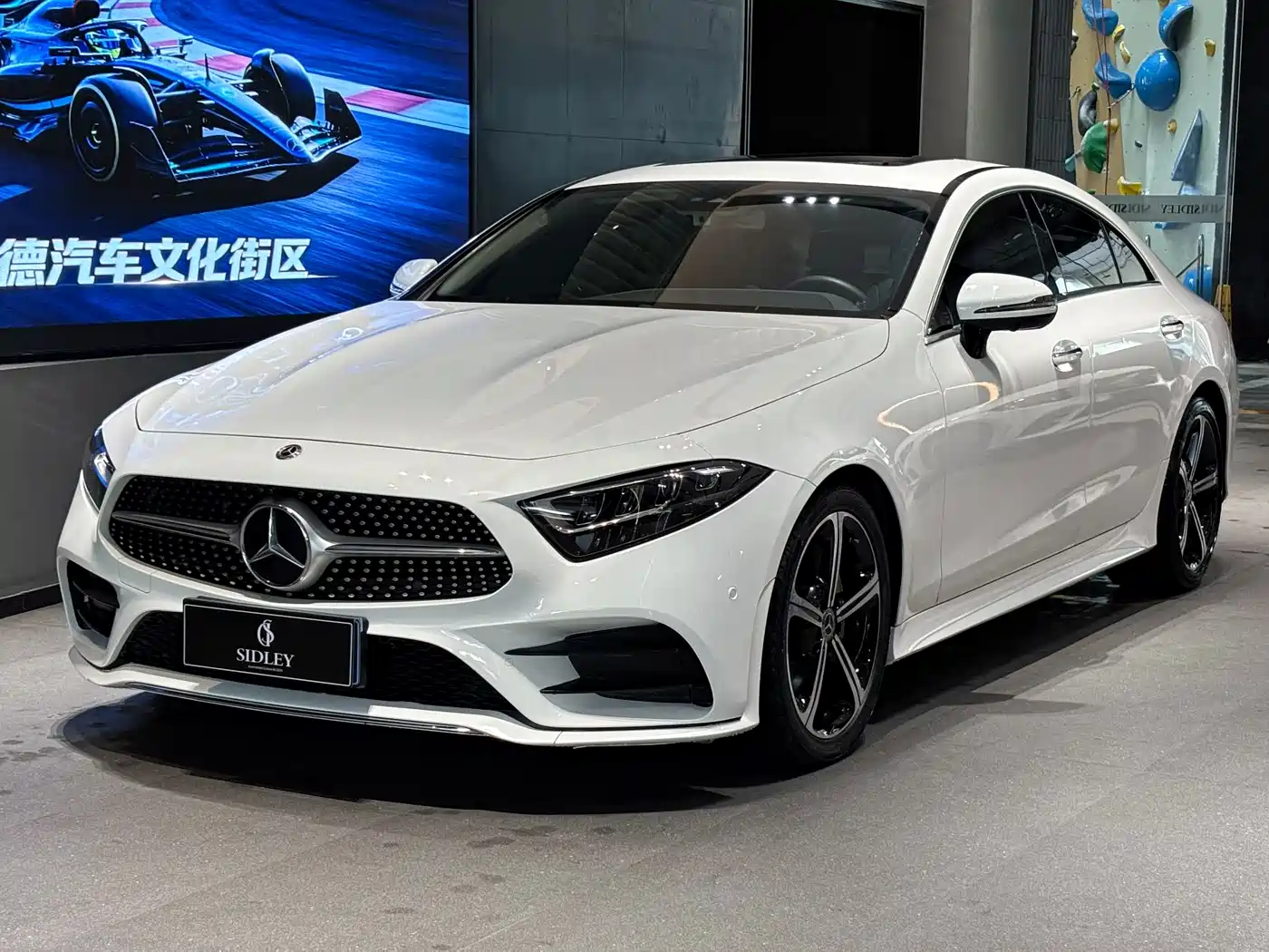 Mercedes-Benz CLS 2020 CLS 300 Luxury