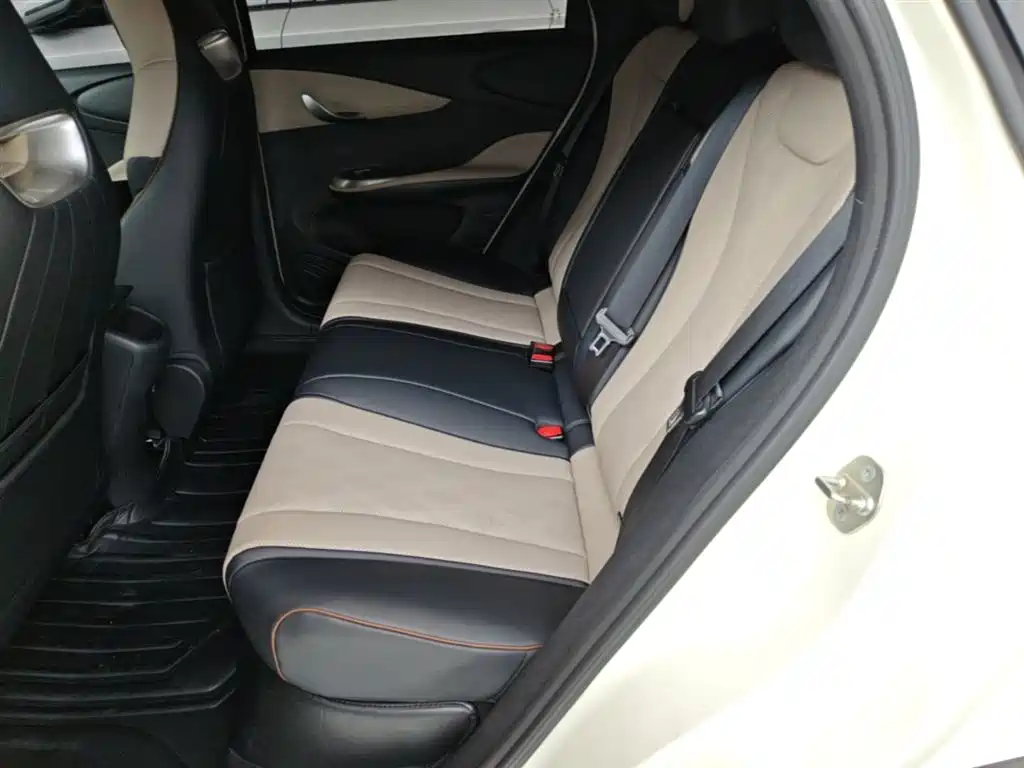 BYD Dolphin 2023 420km Fashion Edition фото 17
