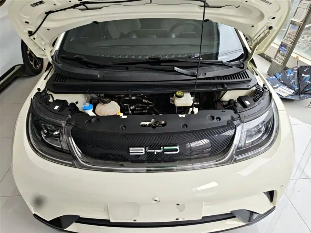 BYD Dolphin 2023 420km Fashion Edition фото 20