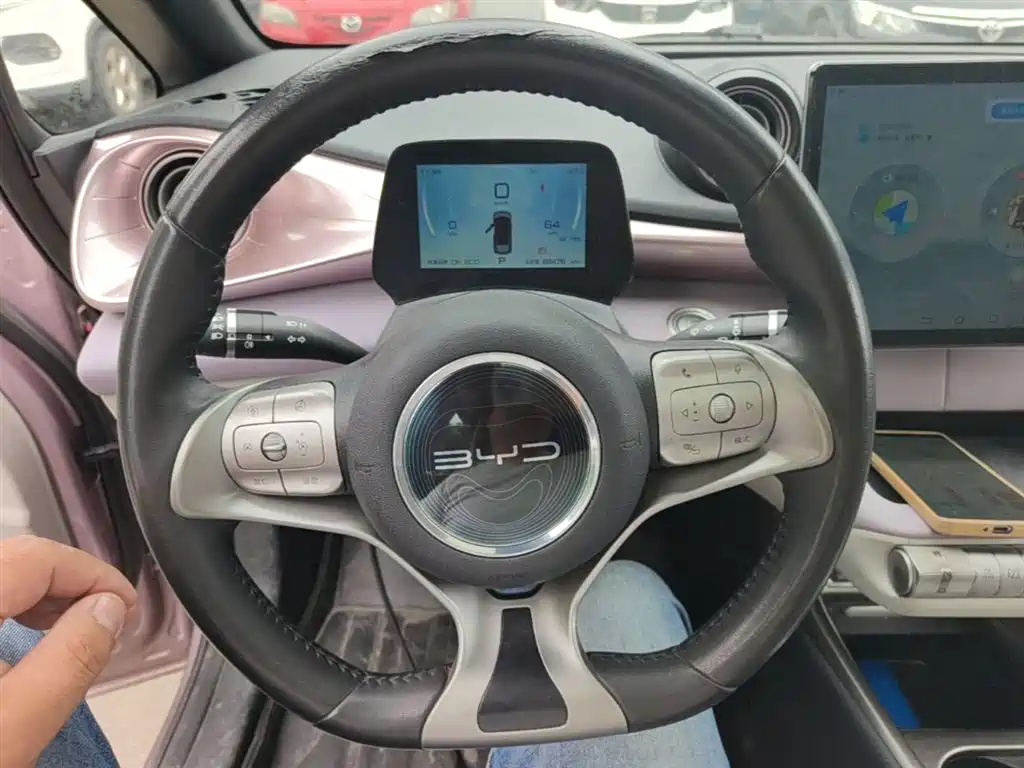 BYD Dolphin 2021 Model 405km Fashion Edition фото 11