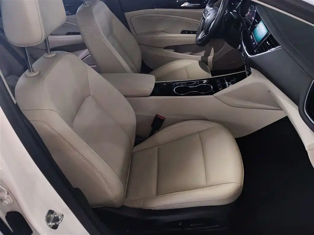 Buick Regal 2020 552T Elite фото 25
