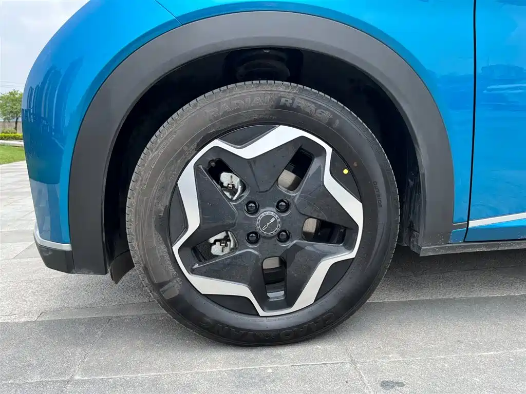 BYD Dolphin 2021 Model 405km Fashion Edition фото 9