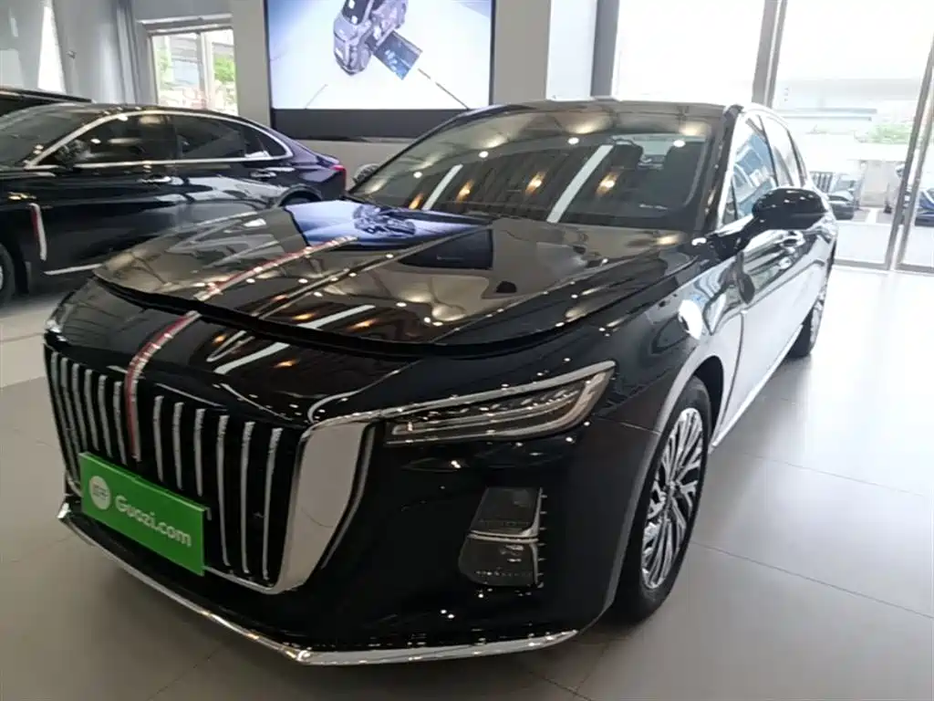 Hongqi H5 2024 2.0T Automatic Smart Connect Flag Smooth Edition