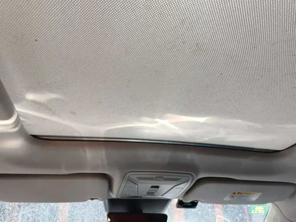 Hongqi HS5 2019 2.0T Smart Connect Enjoy 4WD Edition фото 15