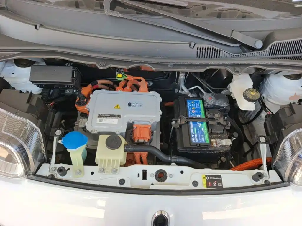 Ora White Cat 2021 2020 401km Flagship Model