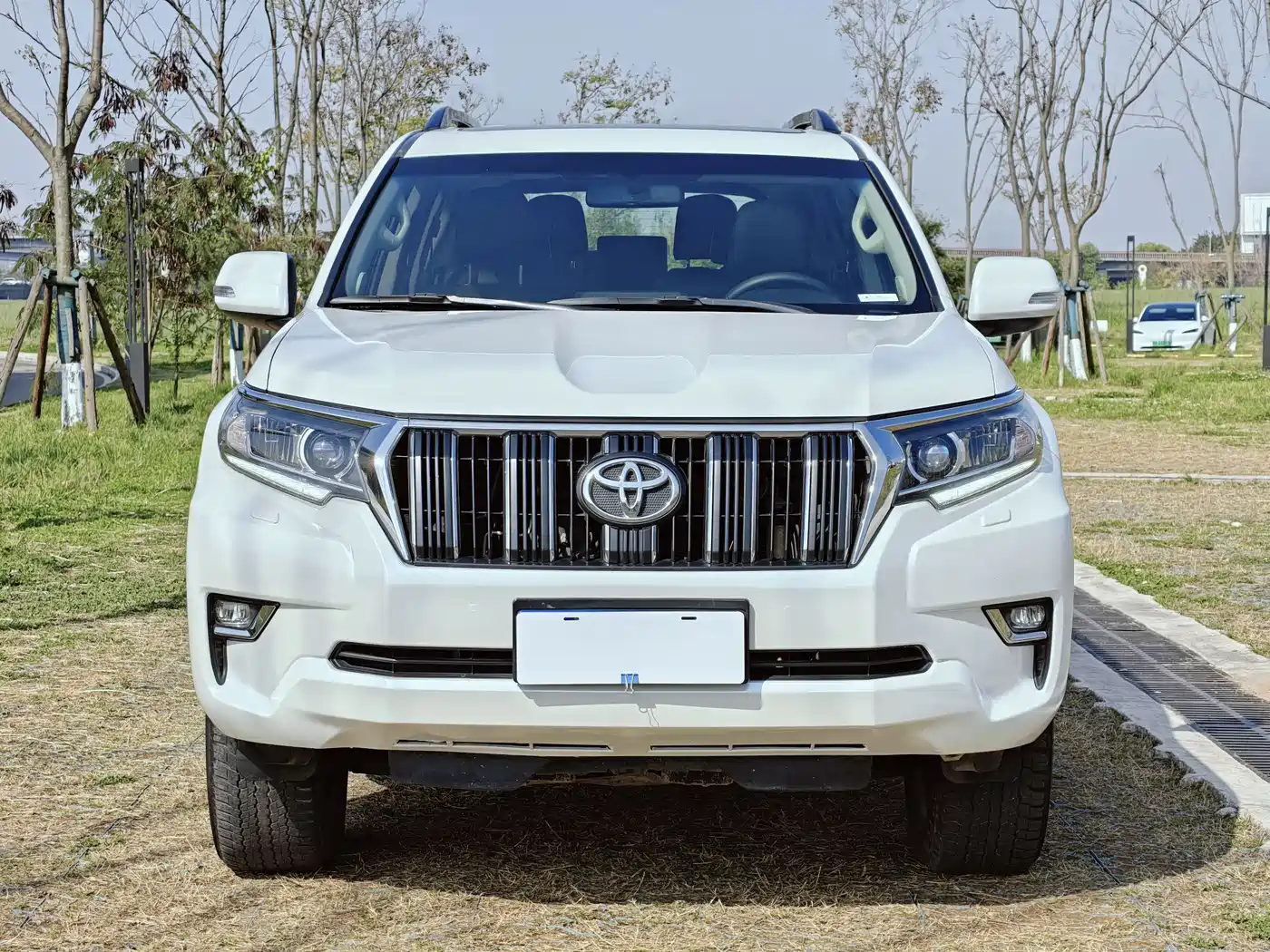 Toyota Prado 2018 3.5L Auto TX-L фото 2
